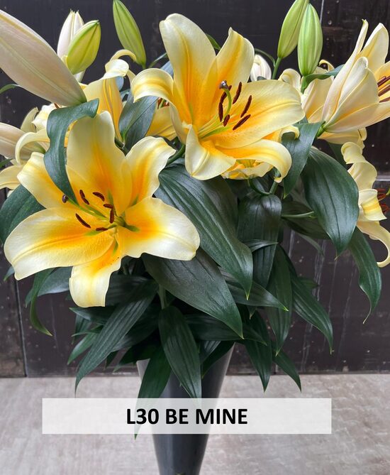L30 - BE MINE