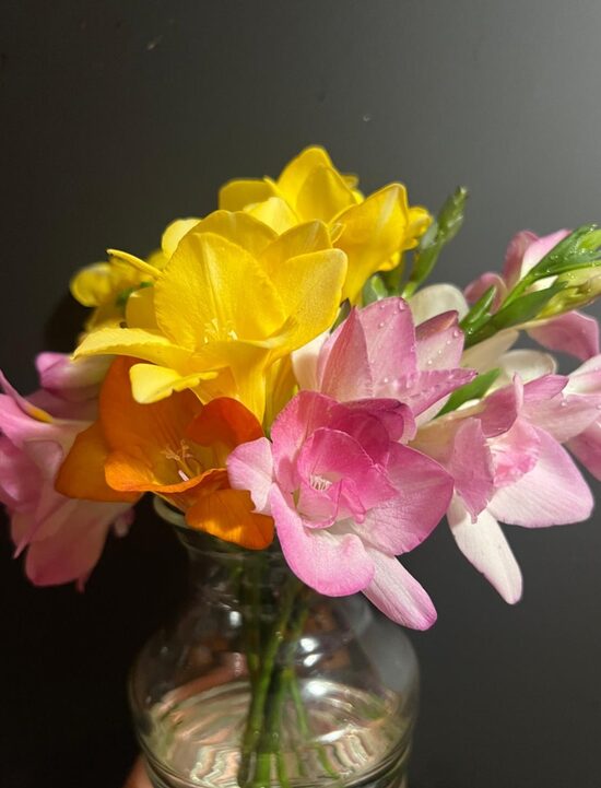 Piecu veidu frēziju MIX 30gab